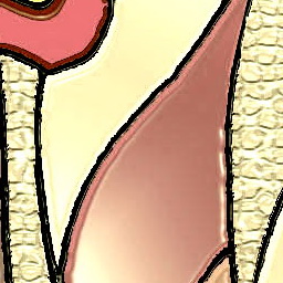 Glass