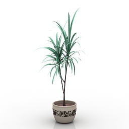 palm 3D Model Preview #24271d6a