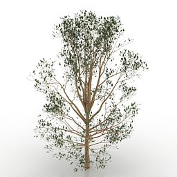 tree 3D Model Preview #b3ca425d