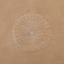 Textile