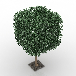 tree 3D Model Preview #a8fff785