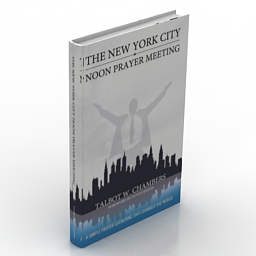3D Book preview