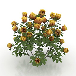 3D Roses preview