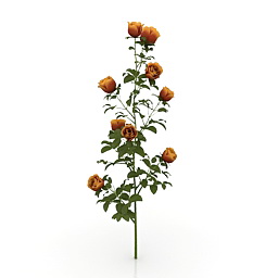 3D Roses preview