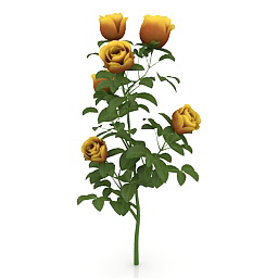 3D Roses preview
