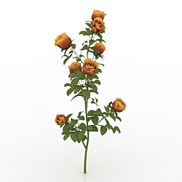 3D Roses preview