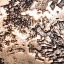 Metal