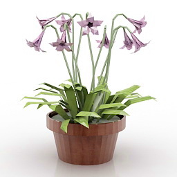 flower 2 3D Model Preview #4fbae78f