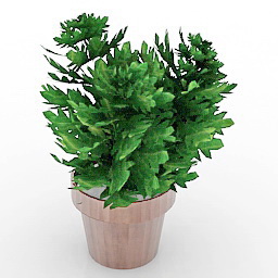 flower 3D Model Preview #8590d823