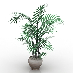 palm 3D Model Preview #4a547e11