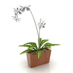 flower 3D Model Preview #ec228533