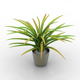 flower 3D Model Preview #734ef404