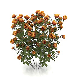 3D Roses preview