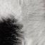 Fur