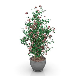 flower 3D Model Preview #f24acbca