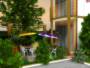 architecture home design