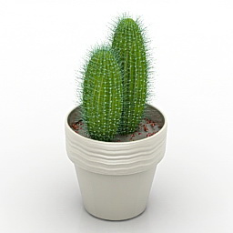 3D Cactus preview