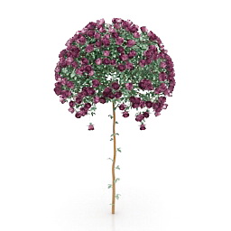 rose 3D Model Preview #05f69150