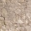 Stucco