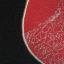 Textile