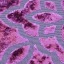 Textile