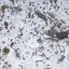 Marble