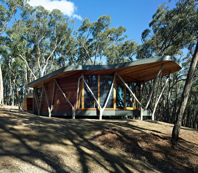 Trunk House, Central Highlands, Australia