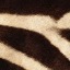 Fur