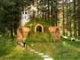 architecture home design