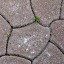 Paving 