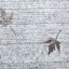 Sidewalk  