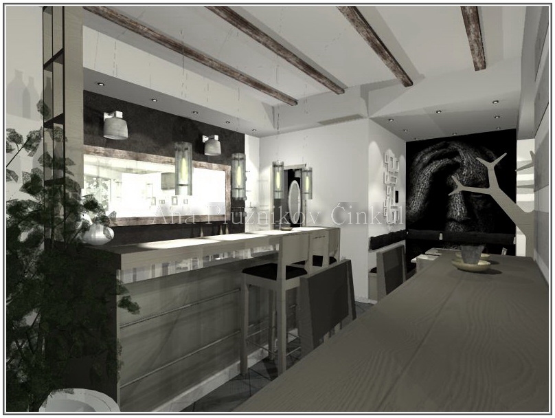 Architectural Home Design — Ana Pluznikov Cinkul — Subotica, Serbia