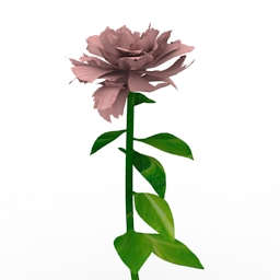 flower peony 3D Model Preview #eb35f9b3