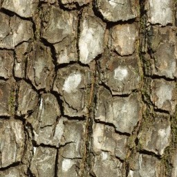 Download 3d cad models, 3d max textures, 3d help