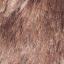 Fur