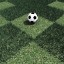 Grass