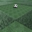 Grass