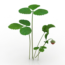 strawberry 3D Model Preview #0821c927