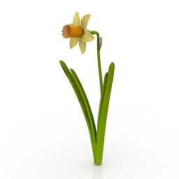 flower daffodil rz 3D Model Preview #b4cf9192