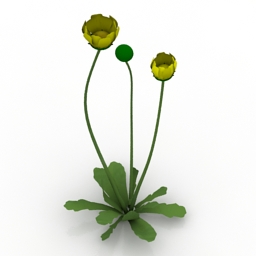 flower 3D Model Preview #02bc254d