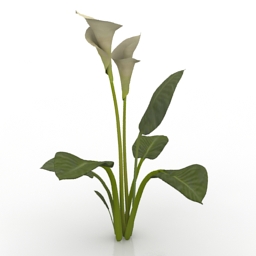 Download 3d cad models, 3d max textures, 3d help