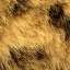 Fur