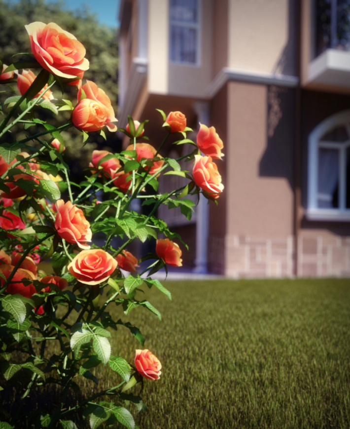 Architectural Home Design