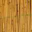 Reed