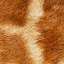 Fur