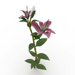 Download 3d cad models, 3d max textures, 3d help
