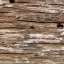 Bark