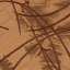 Textile