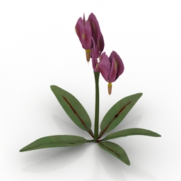 flower shooting star 3D Model Preview #0a417907