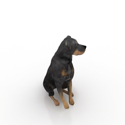 dog 2 3D Model Preview #b495e922